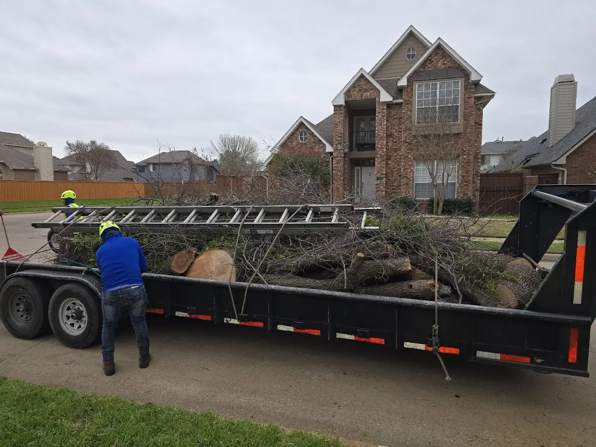Expert Tree Removal with proper safety equipment in Mountain Home